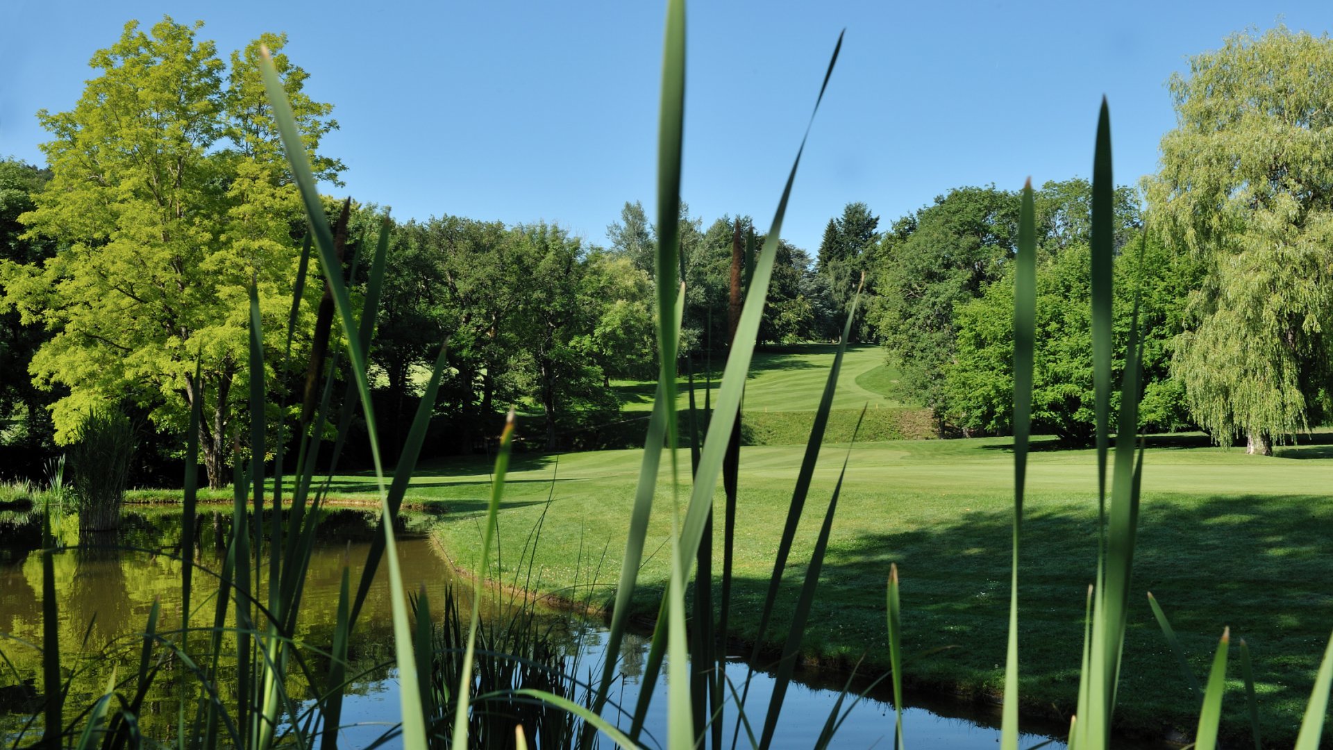 Golf et Petit Déjeuner